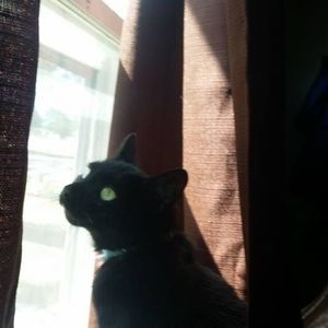 Meet your Posher, Jackie